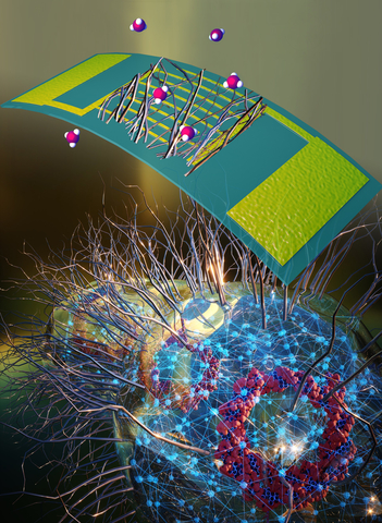 sensor de nanocables