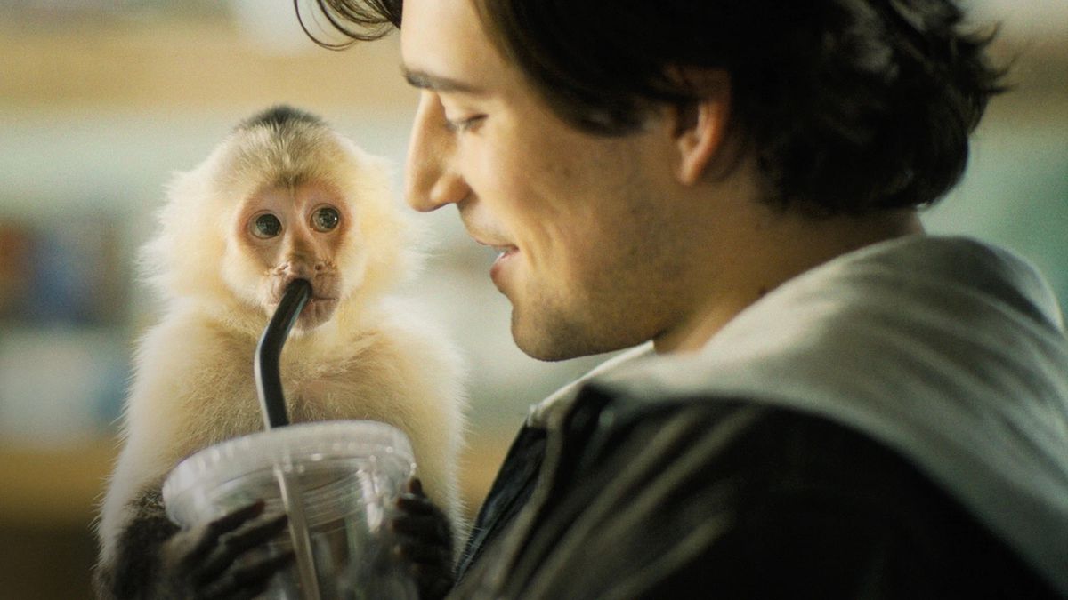 A man (Charlie Rowe) smiles as a white monkey looks at him while drinking from the straw of his drink.
