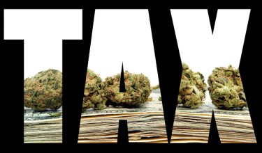belastinginkomsten voor marihuana dalen