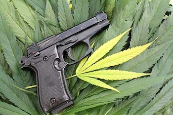 cannabis and guns interpreting the second amendment