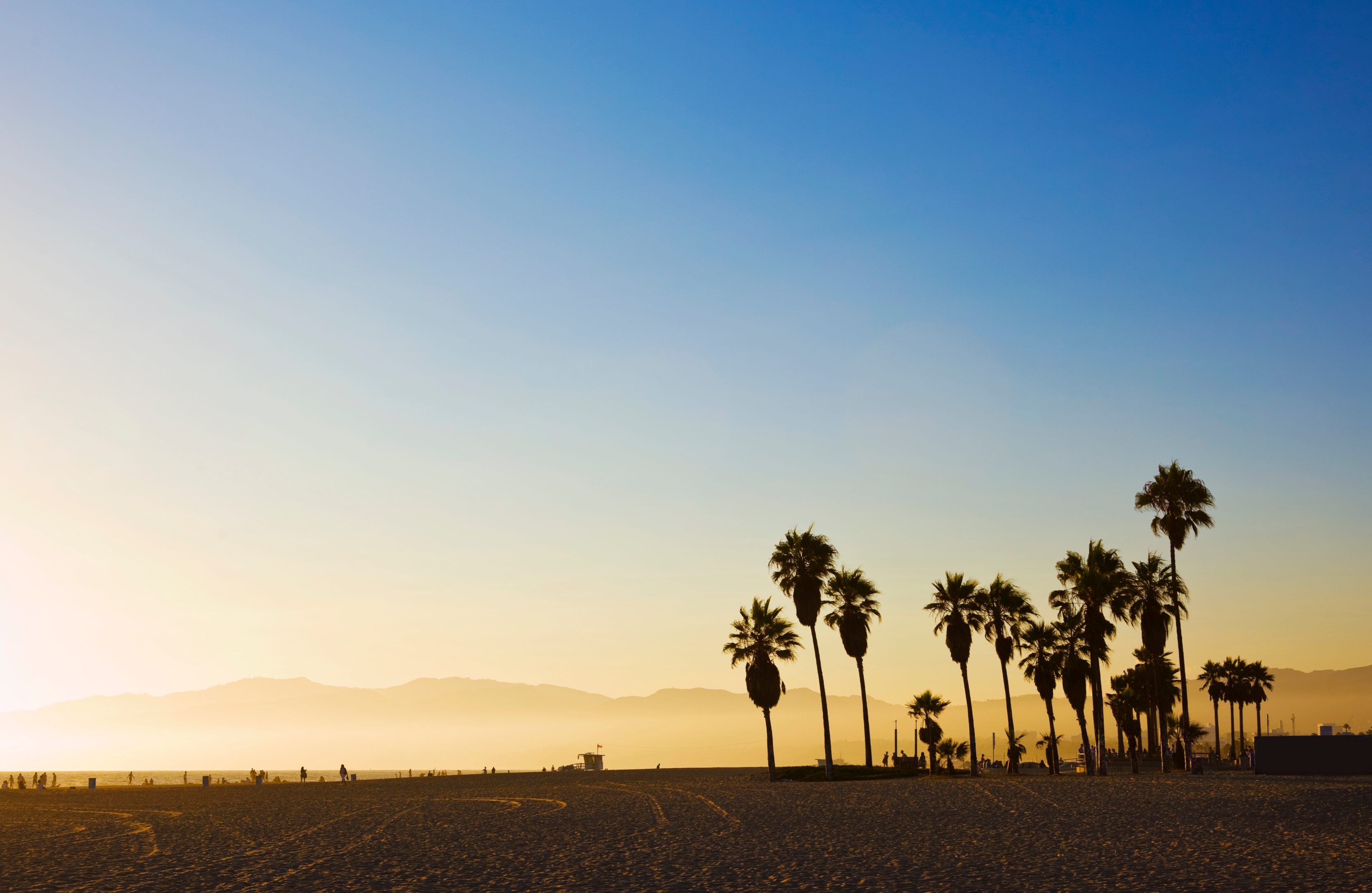 Playa de California con palmeras