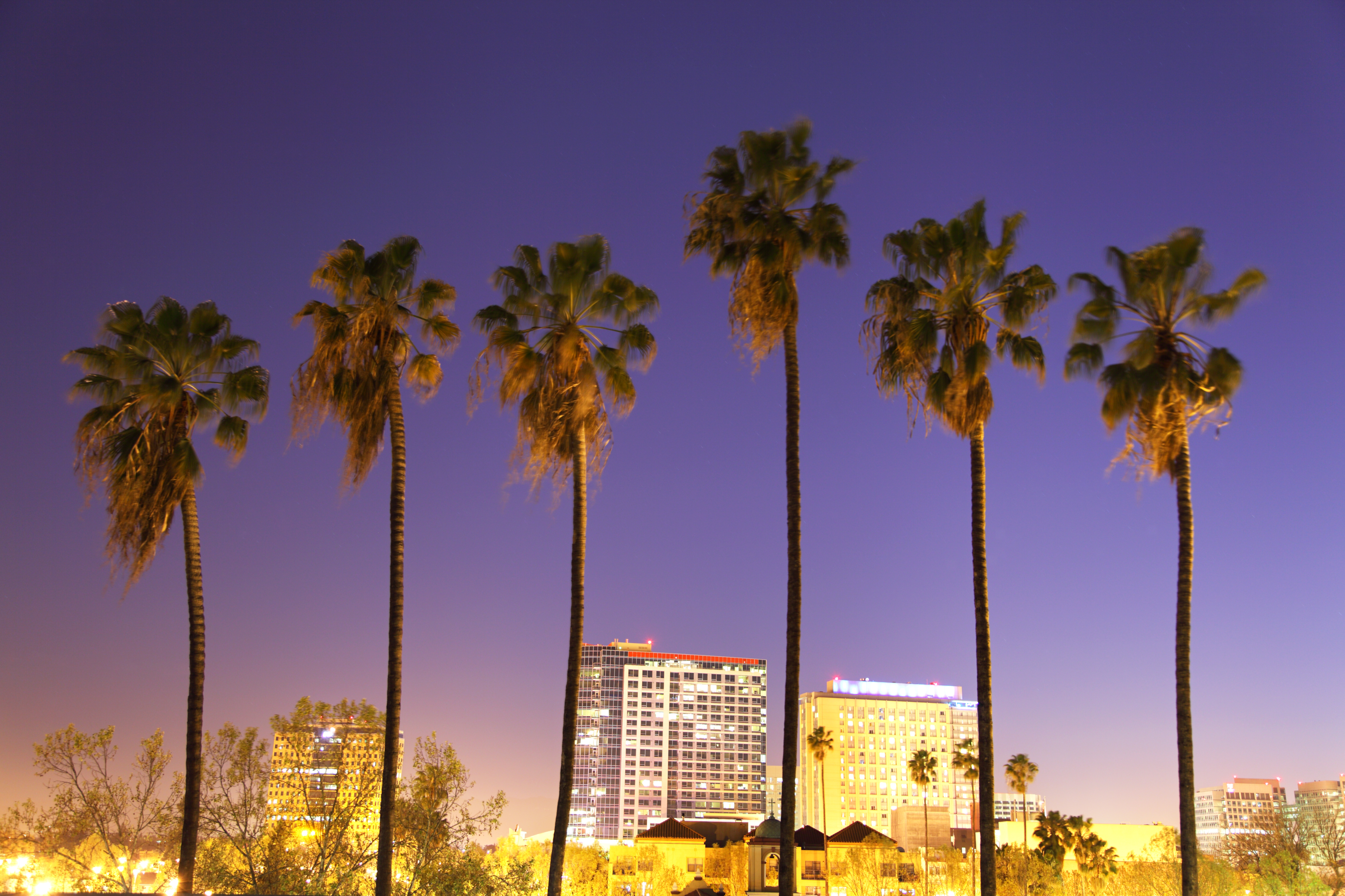 Santa Clara county city skyline with palm trees