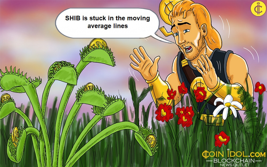 SHIB is stuck in the moving average lines