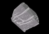 Las suturas son claramente visibles en las tomografías computarizadas