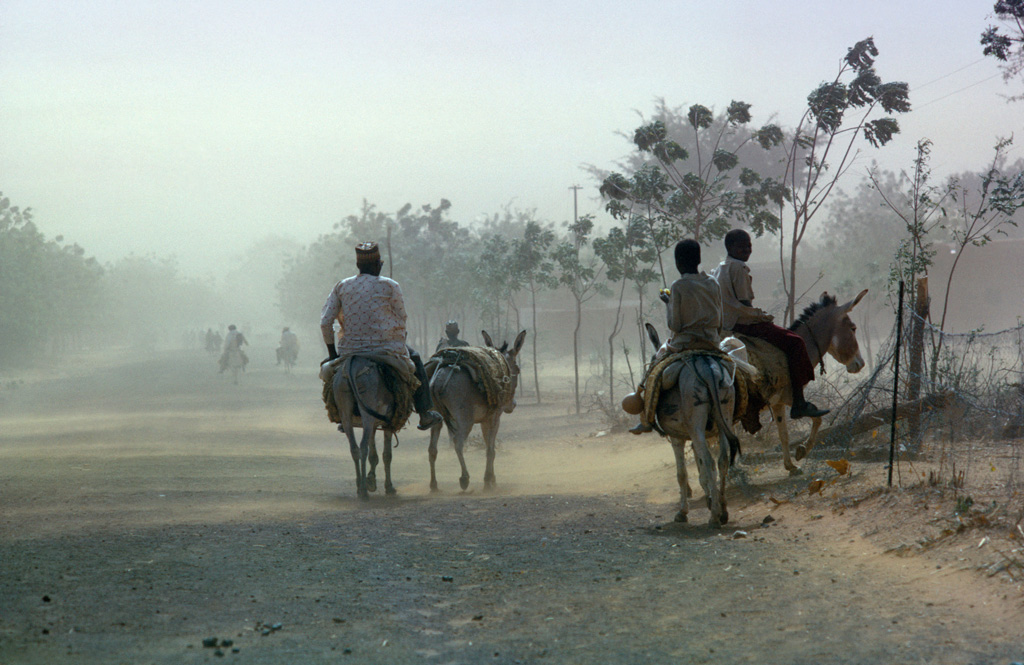 Mensen rijden op ezels op de weg in stofzandstorm, Nigeria. Krediet: Eye Ubiquitous / Alamy Stock-foto.