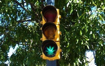 Mito de conducir bajo los efectos del cannabis: hay que esperar dos horas