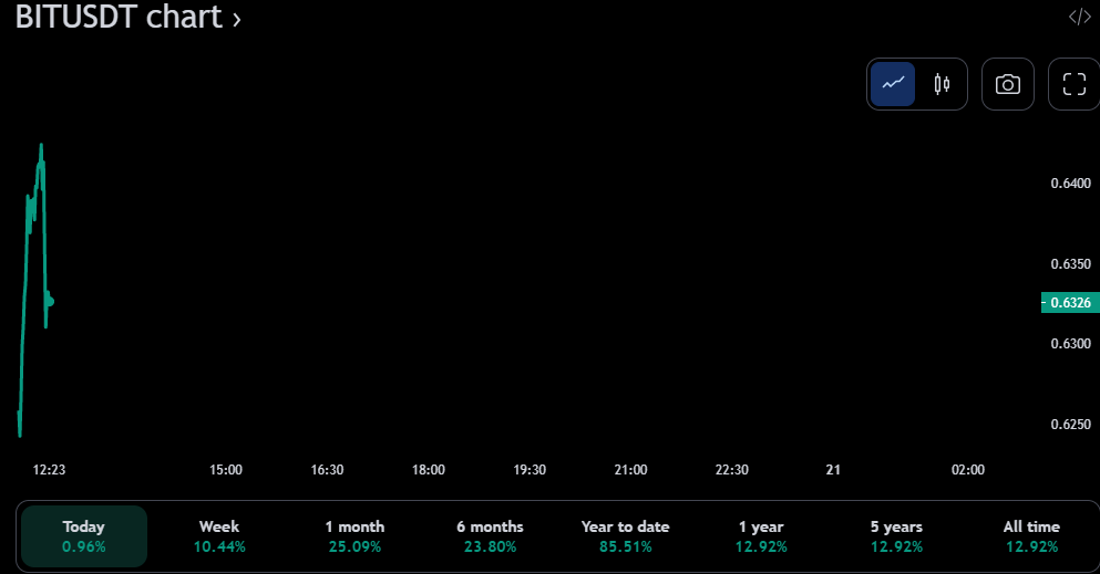 बीआईटी/यूएसडीटी 24-घंटे का मूल्य चार्ट (स्रोत: ट्रेडिंग व्यू)