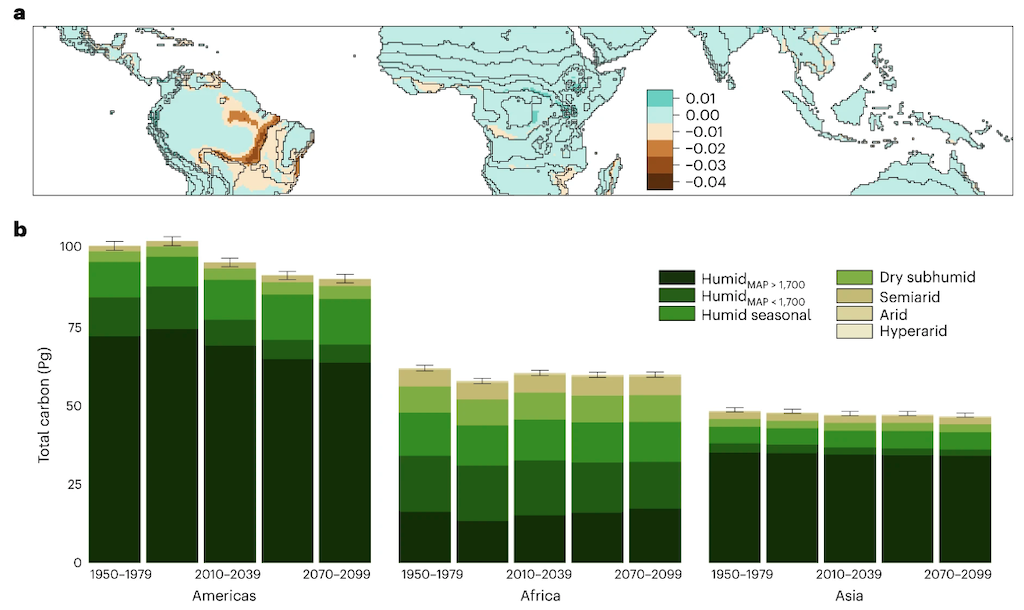 Tropical carbon loss by 2099 under the moderate-emissions scenario RCP4.5.