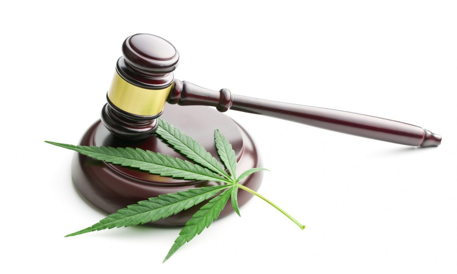 marihuana rechtbanken