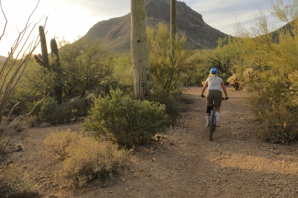 여성 산악 자전거 타는 사람은 사막에서 트레일을 따라갑니다.