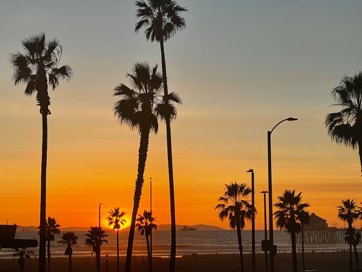 zonsondergang in Orange County met palmbomen op de voorgrond