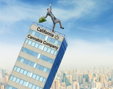 CALIFORNIA ILLEGAL CANNABIS SALES HIT 73%
