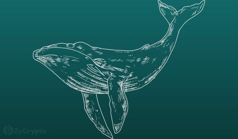 Crypto Whales laden op met XRP en MATIC en trotseren marktonzekerheid - on-chain data onthult