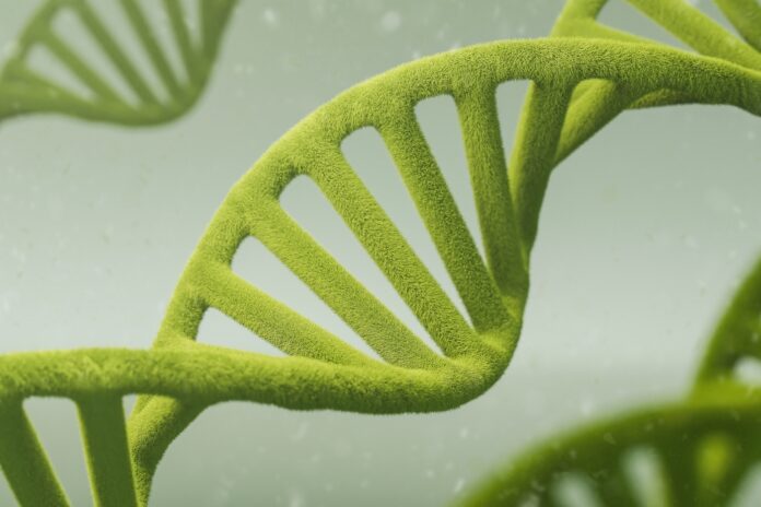 Concept of helix biology eco research or DNA helix ecology with green DNA helix gene or genetic DNA molecule biotechnology on a green biotechnology background. 3d illustration render