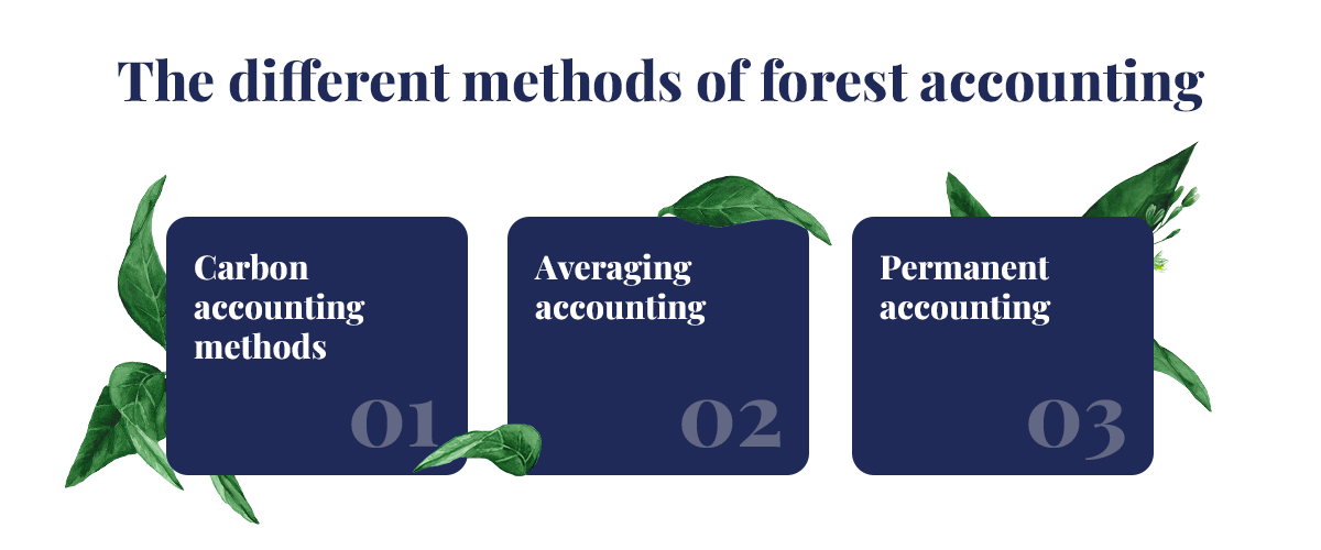 Forest accounting What is it, and what are the methods-2
