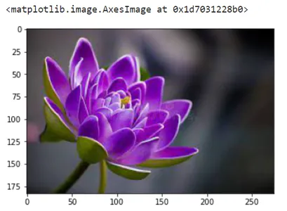 Techniques for Image Preprocessing