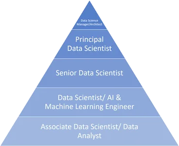 "Data Scientist 