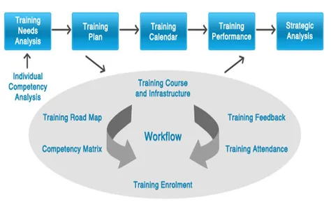 Training strategy workflow 