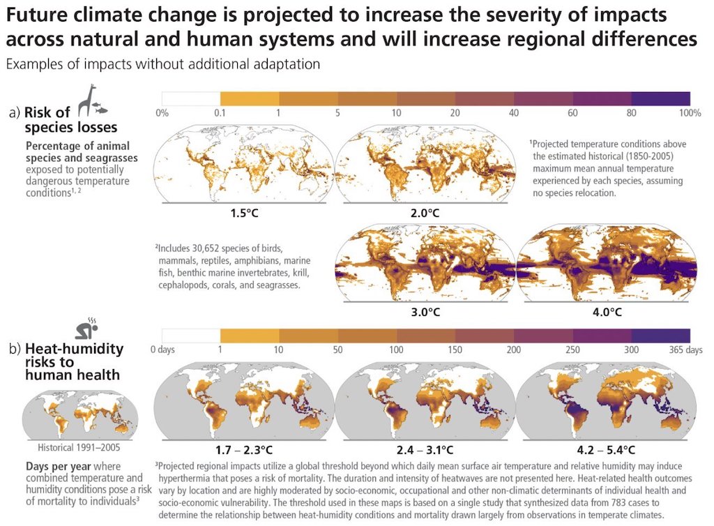 Risks to species and humans at various levels of global warming.