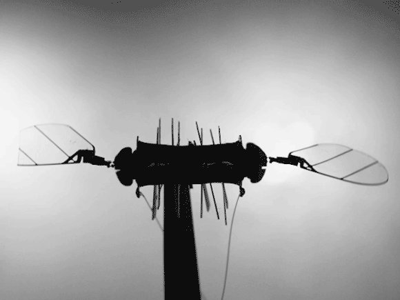 Silhouette eines Mikroroboters, der einer Biene ähnelt und mit den Flügeln schlägt