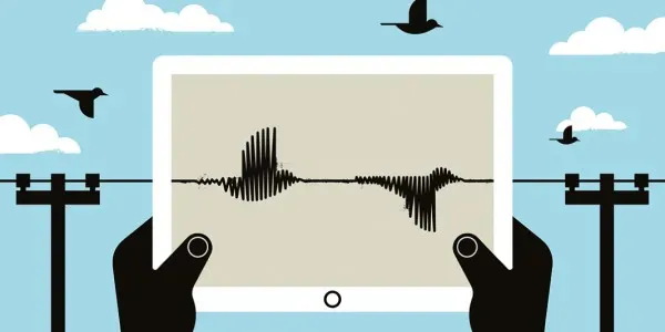 مجسات صوتية لرصد الحياة البرية