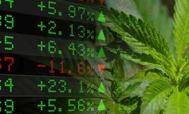 Silicon Valley Bank (SVB) y la industria del cannabis