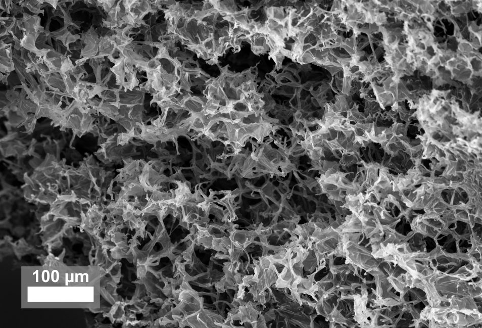 Under the scanning electron microscope, the basic structure of a material looks like a porous sponge