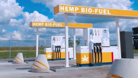Biocombustible de cáñamo