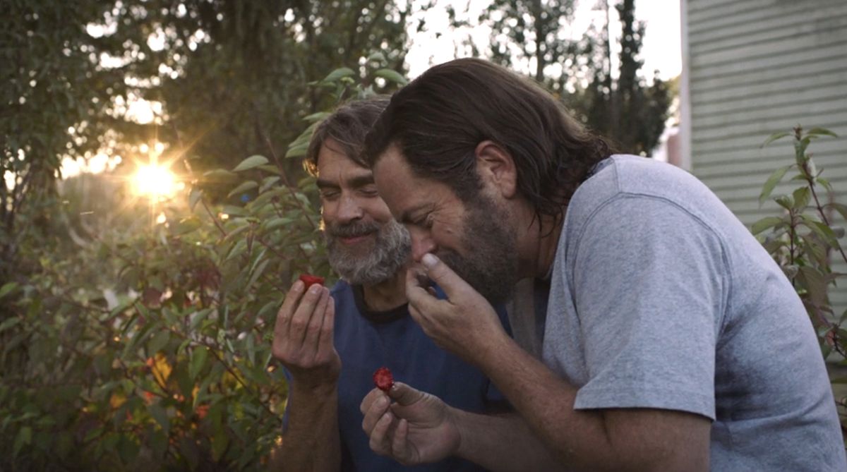 بيل (نيك أوفرمان) وفرانك (موراي بارتليت) يأكلان الفراولة مع غروب الشمس في The Last of Us