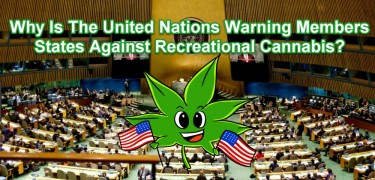 アメリカの大麻法に関する国連