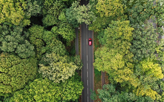 Foto neta cero que muestra la vista de pájaro del viaje en automóvil forestal