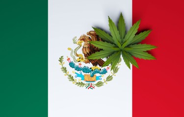 メキシコの大麻合法化
