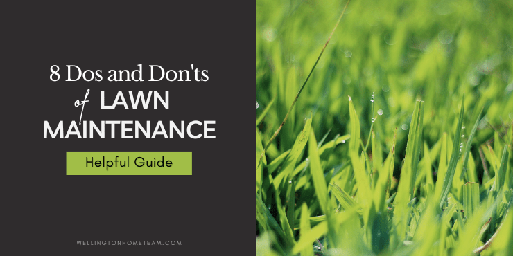 8 Dos and Don'ts of Lawn Maintenance | Helpful Guide
