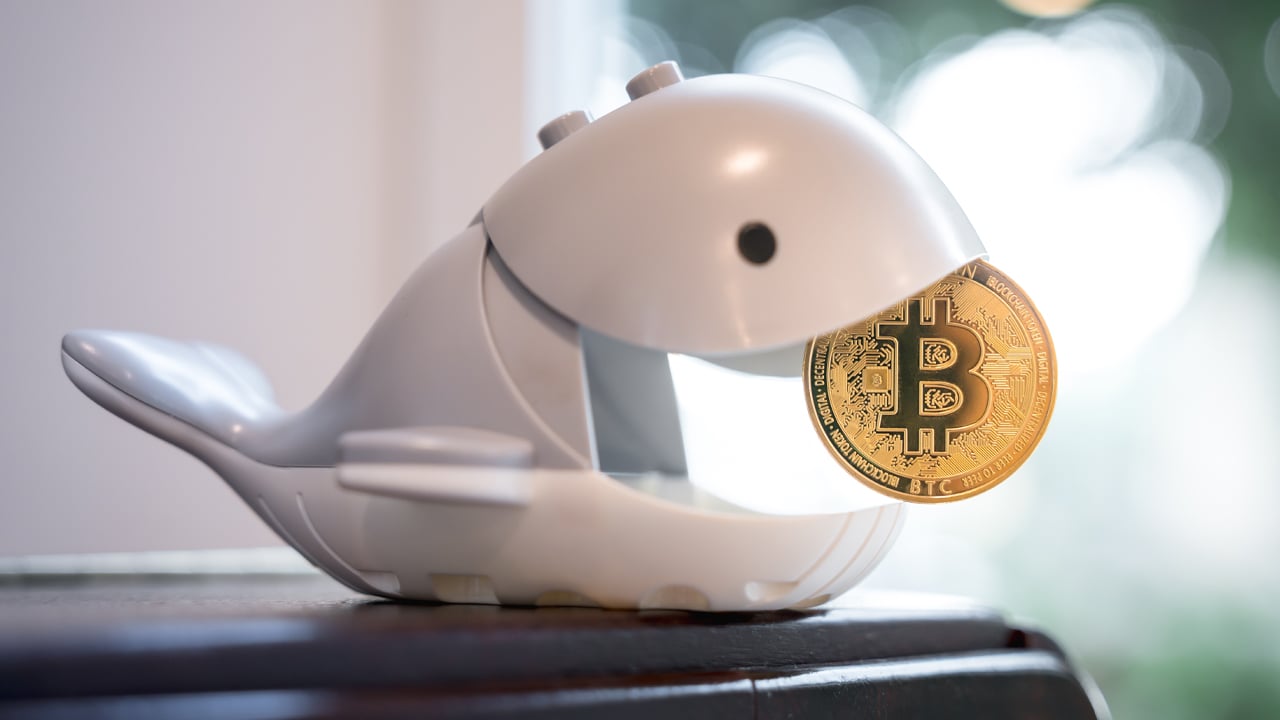 Bitcoin Whale överför $13 miljoner i vilande mynt som går tillbaka till 2012 och 2013