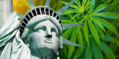 Cannabis en gerechtelijke uitspraken: voorbeeld uit New York