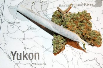 Cannabis y sentencias judiciales: la batalla en el Yukón