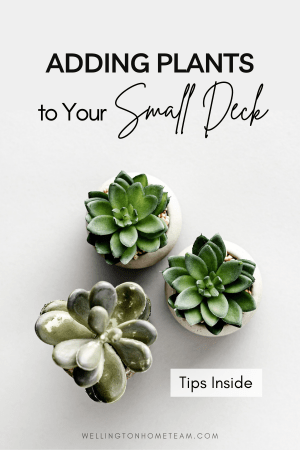Adding Plants to Your Small Deck