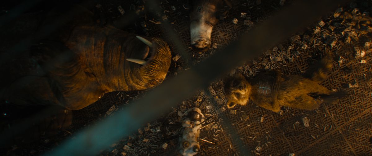 Rocket Raccoon (voiced by Bradley Cooper) lies on his back in a cage with his experimental-animal friends Teefs (a walrus with added wheels), Lylla (an otter with mechanical arms), and Fllor (a white rabbit with robot spider legs) in a scene from Guardians of the Galaxy Vol. 3