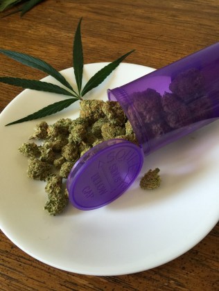 Zorgen over de veiligheid van medicinale cannabis