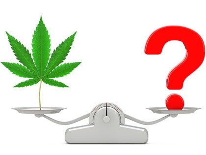 Medical Cannabis Safety Concerns