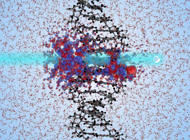 Simulating proton interactions with DNA
