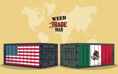 MEXICO IMPORTS US WEED