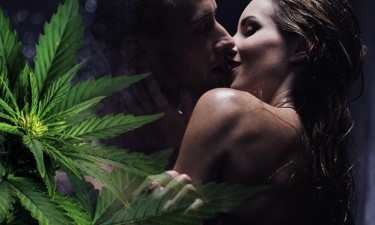 cannabis for sexual health passion