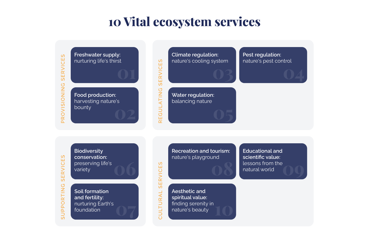 10 vitale ecosysteemdiensten_10 vitale ecosysteemdiensten illustratie_visual 2