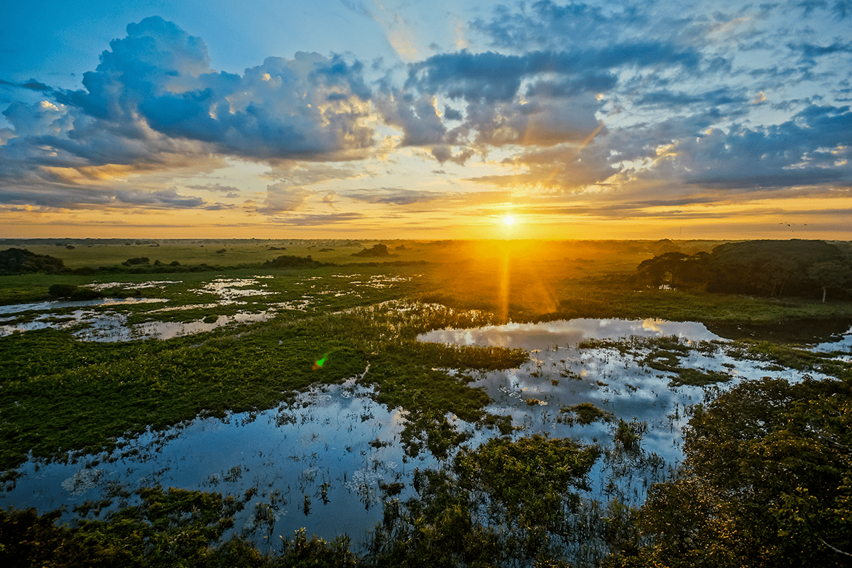 10 vital ecosystem services_sunrise in Pantanal in Brazil_visual 3