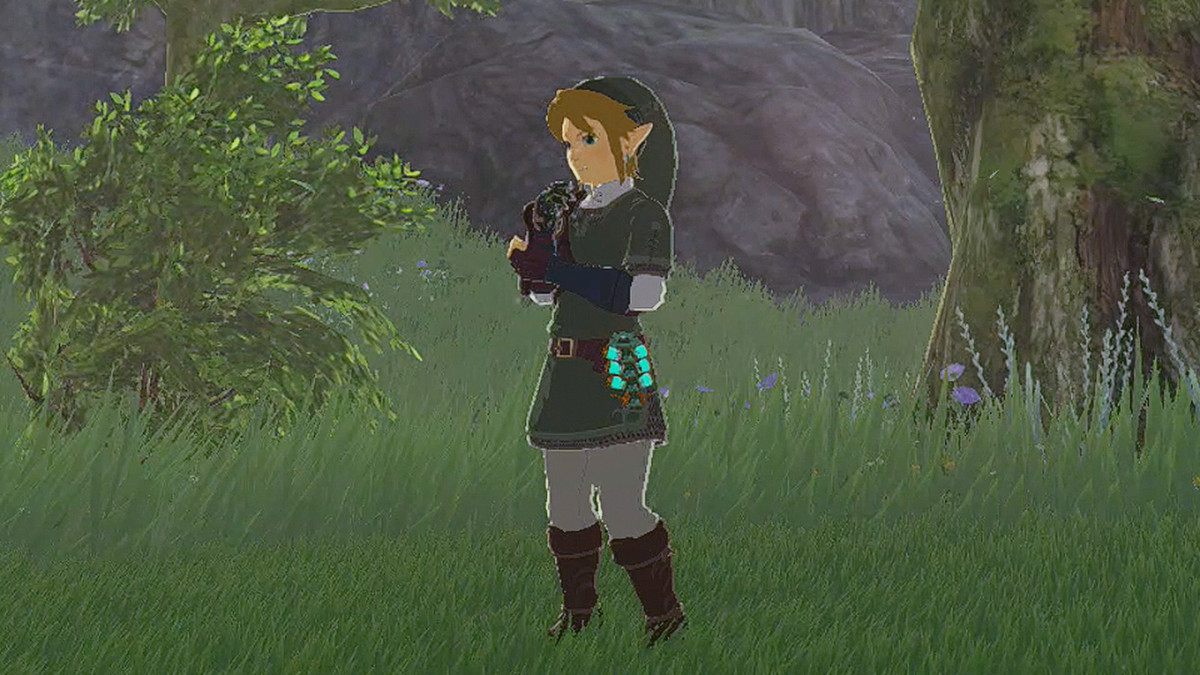 Link wears the Twilight Armor while standing in a field in Zelda Tears of the Kingdom.