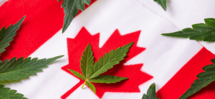 Cannabis Tourism in Canada