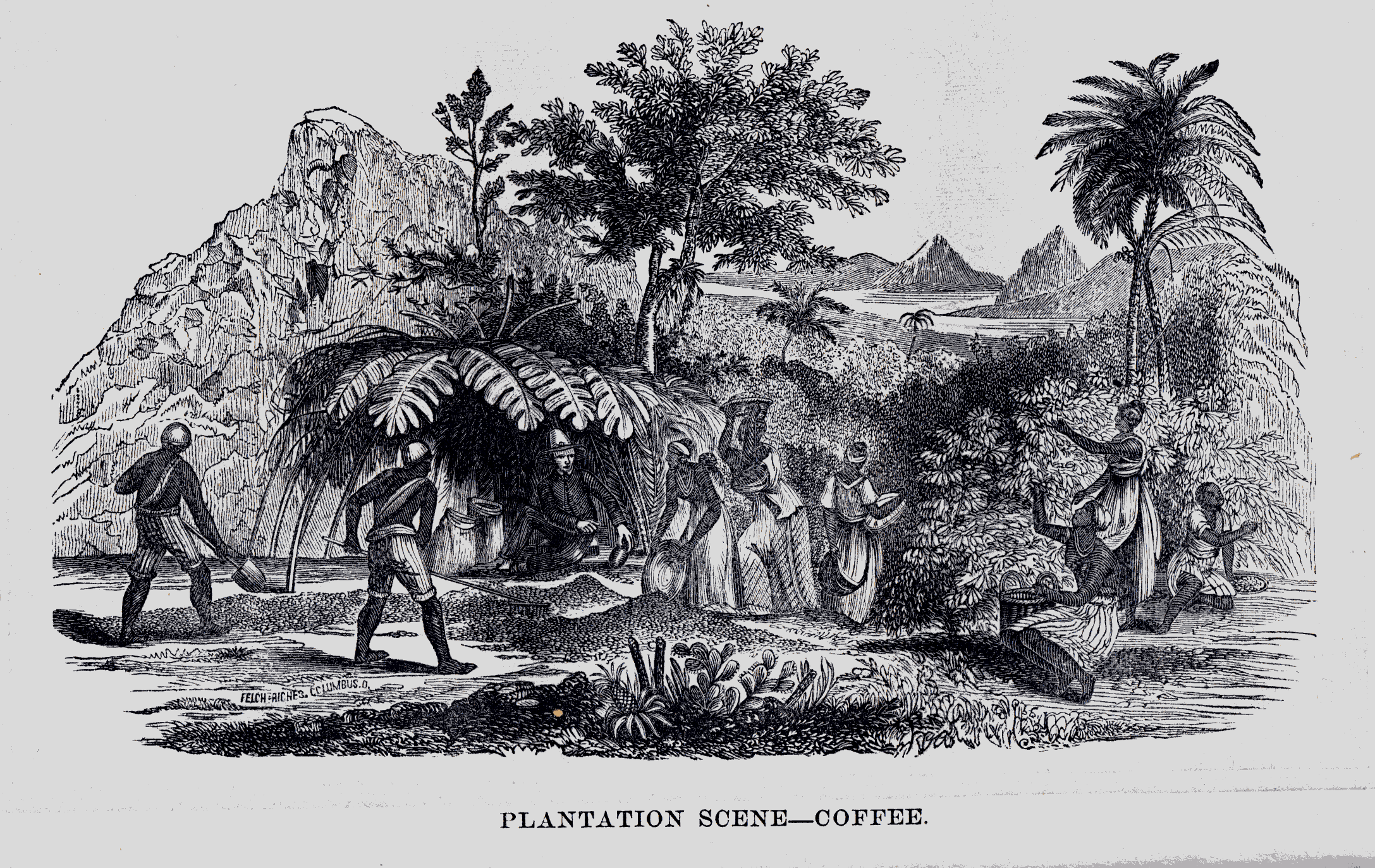 hommes et femmes ramassant et séchant les grains de café