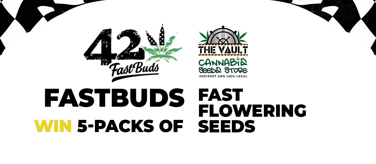 ¡La gama Fastbuds de floración rápida está en la ciudad! ¡Donar!