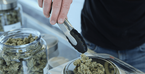 Fünf Mythen über eine staatliche Cannabisindustrie – Märkte sind chaotisch und unmoralisch